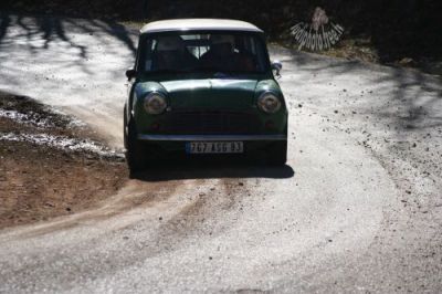 La mini verte